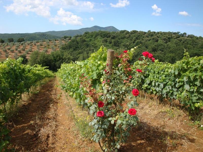 Montebelli Agriturismo & Country Hotel Caldana Екстериор снимка