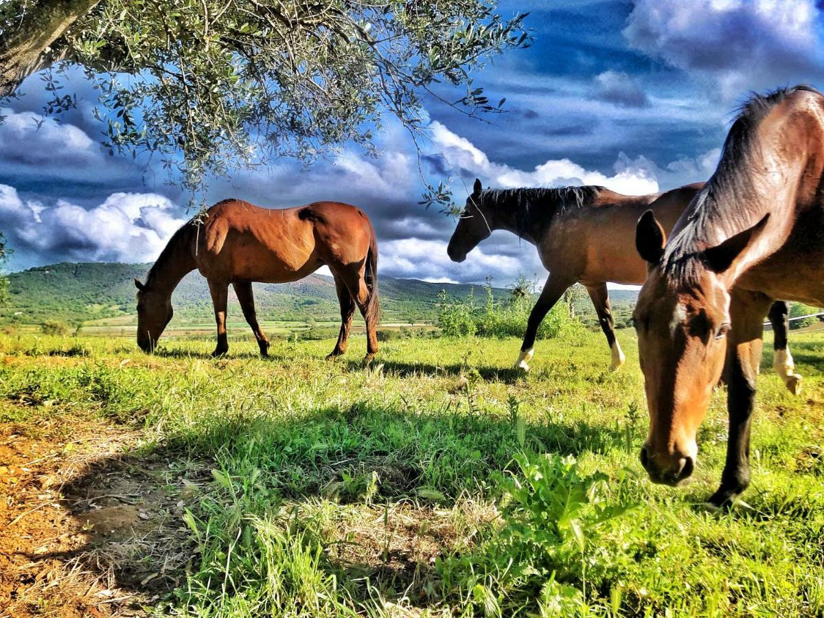 Montebelli Agriturismo & Country Hotel Caldana Екстериор снимка